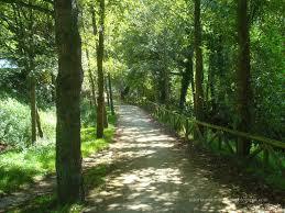 Senda Del Peñafrancia